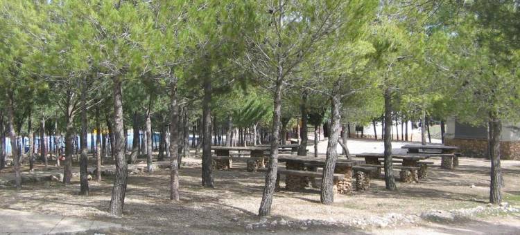 Hostal Almenara图片