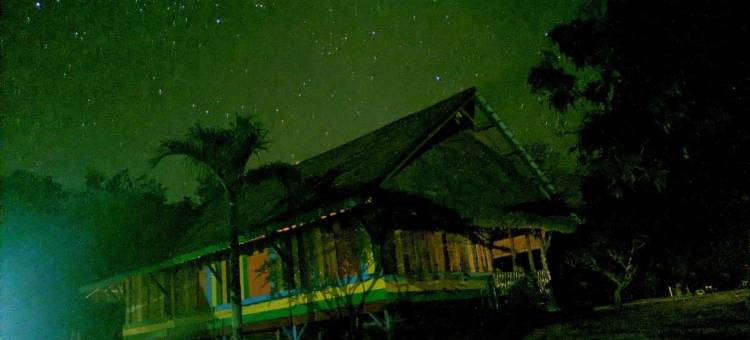 4 Pohon - les 4 Arbres图片