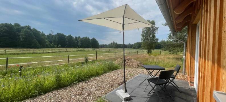 特伦泽霍夫酒店(Hotel TraumzeitHof)图片