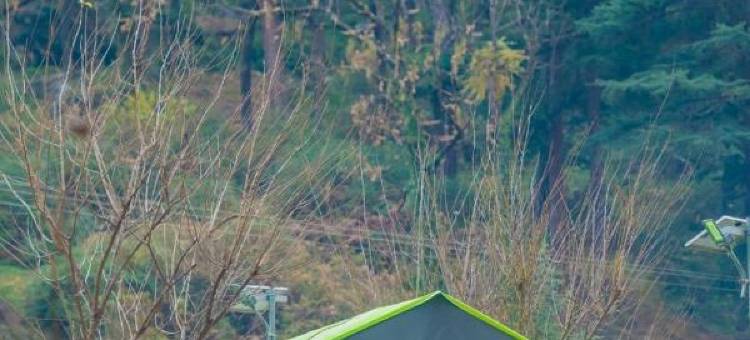 North Deodar Camps图片