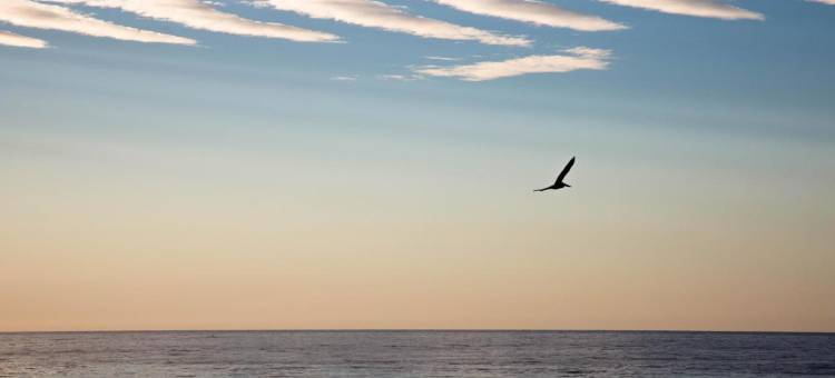 热带帕玛尔酒店(Pal.Mar Hotel Tropical)图片