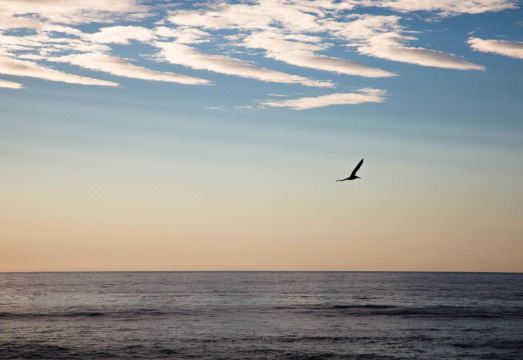 Pal.Mar Hotel Tropical Hotel Overview