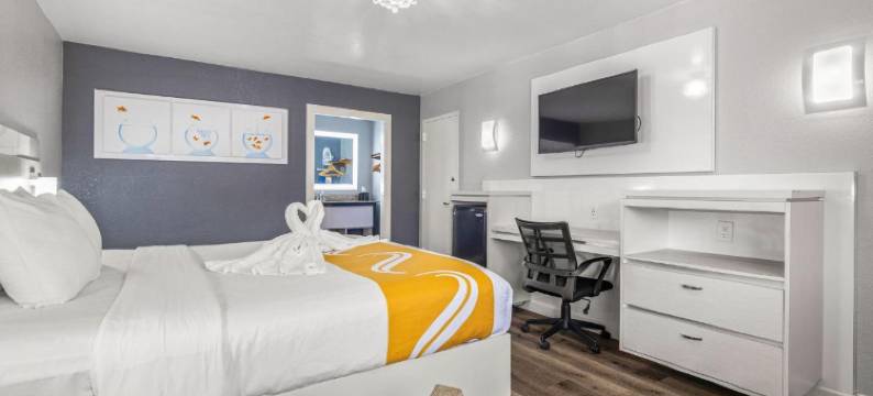 坦帕-布兰登品质酒店及会议中心(Quality Inn and Conference Center Tampa-Brandon)图片