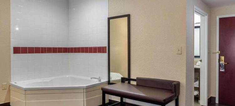 伍德斯托克舒适套房酒店- 亚特兰大北(Comfort Suites Woodstock - Atlanta North)图片