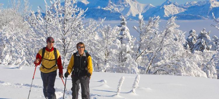 Enzo Hotels Green proximité Zenith d' Auvergne Ex F1 Formule 1 Clermont Ferrand Issoire Coudes图片