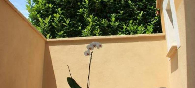 莱昂维亚酒店(Hôtel l'Anvia)图片