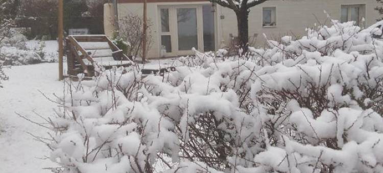 巴乔尔木屋旅馆酒店(Chalet la Bachole)图片