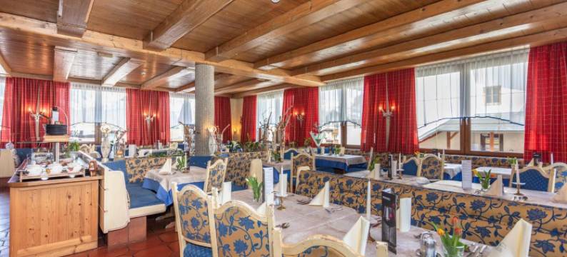 温格阿朋霍夫酒店(Apart Hotel Alpenhof Werfenweng)图片