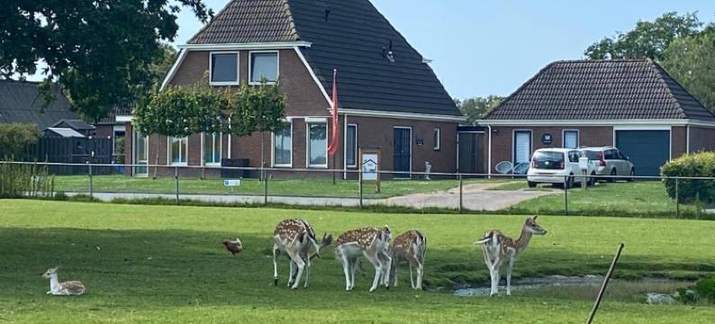 Landelijk Hijken图片