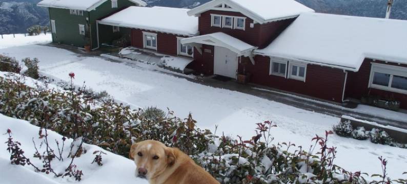 柯迪马诺斯费拉养生度假屋中心酒店(Ktima Noosfera Wellness & Retreat Center)图片
