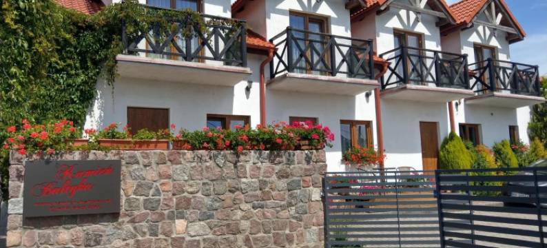 Kamień Bałtyku图片