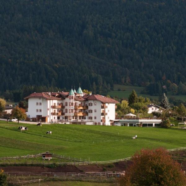 罗萨度假酒店(Hotel Rosa Resort)图片