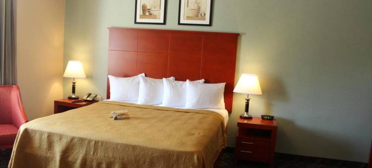 凯艺酒店(Quality Inn Southampton)图片
