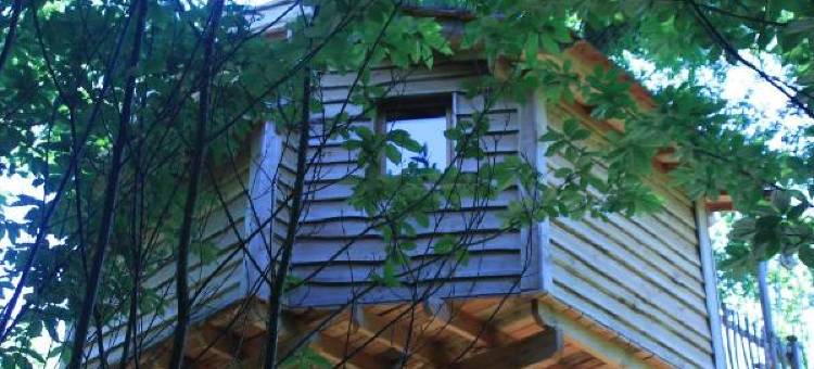 欧布瓦多蒙特度假屋(Ô Bois Dormant)图片