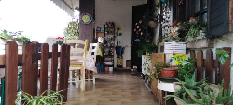 卡萨艾琳住宿加早餐旅馆(Casa Irene)图片