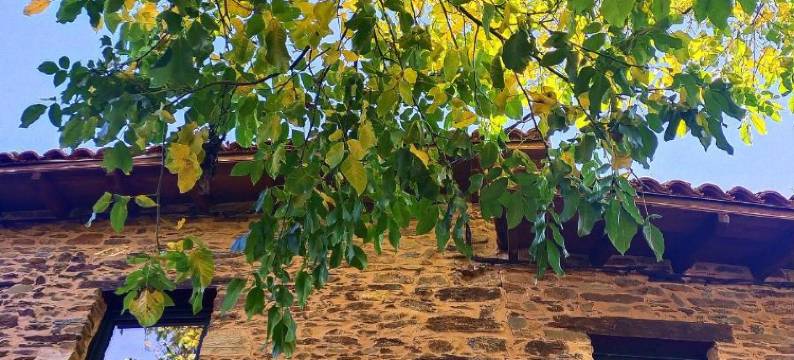 坎佩雷斯乡村酒店(Hotel Rural Las Campares)图片