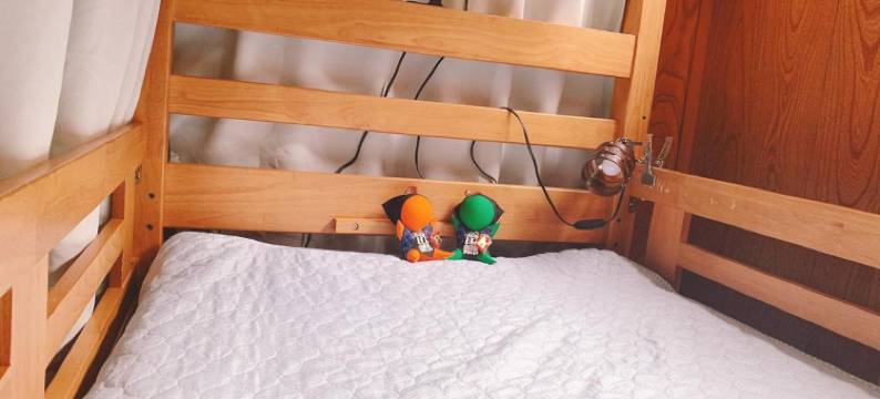 古志山旅馆(Minsyuku Koshiyama)图片