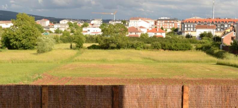 阿拉里格斯旅舍 - 青年旅馆(Albergue Alfonso II)图片
