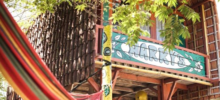 Harry's Ocean House Watukarung Homestay图片