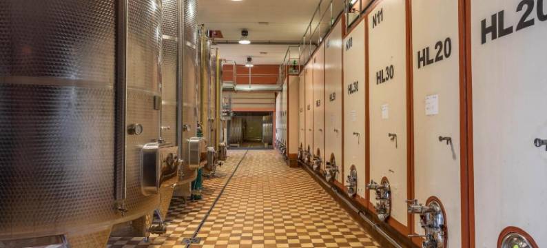 菲比安诺农场酒店(Fattoria Fibbiano)图片