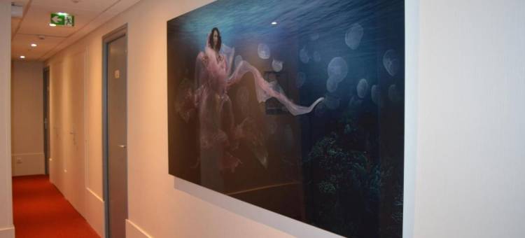 切瓦尔布兰克旅馆(Auberge du Cheval Blanc - Logis Hotel)图片