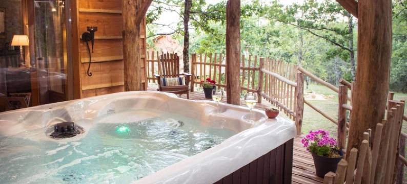 雄狮酒店(Le Lion d'Or en Perigord)图片