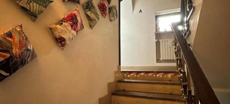 阿卡迪亚别墅旅馆(Guest House Villa Arkadia)图片