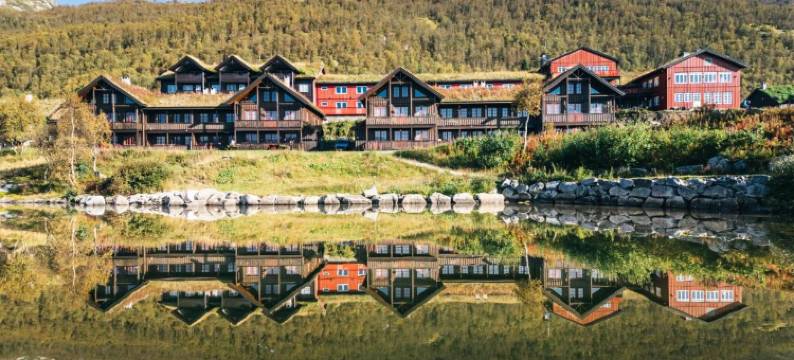 瓦格里图纳酒店(Vågslidtun Hotel)图片