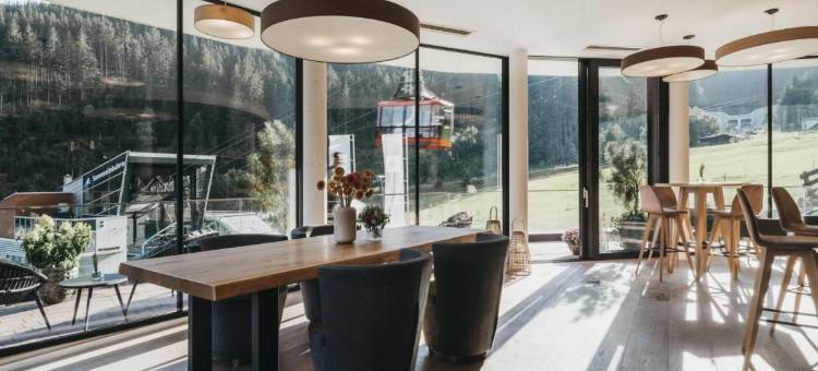 VAYA塞尔湖滨城(Vaya Zell am See Inklusive Zell am See Kaprun Sommer Karte)图片