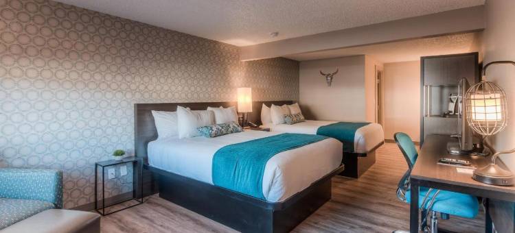 Y 酒店(The Hotel Y)图片