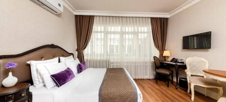 伊斯坦布尔梅罗迪拉波塔酒(Meroddi La Porta Hotel)图片