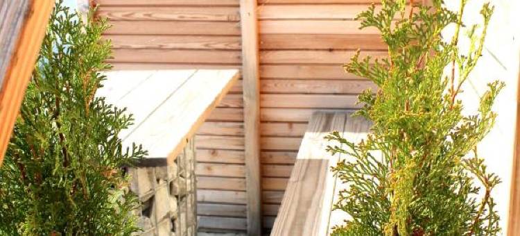 因格施塔特腓特烈港绿色公寓寄宿式酒店(Greenpartment Ingolstadt - Friedrichshofen)图片