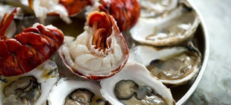 肯纳邦克港口套房酒店-阿桑德连锁酒店(Port Inn & Suites Kennebunk, Ascend Hotel Collection)图片