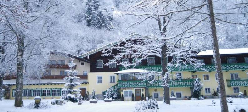 黑尔巴德波维斯酒店(Pension Heilbad Burgwies)图片