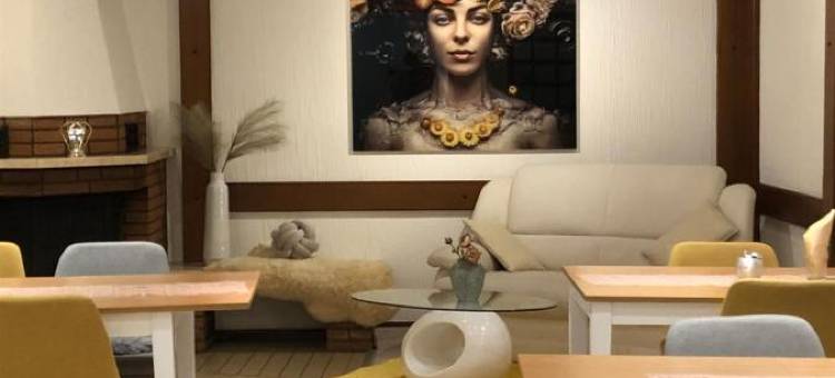 汉诺威斯塔特酒店(Haus Stadt Hannover am Park)图片