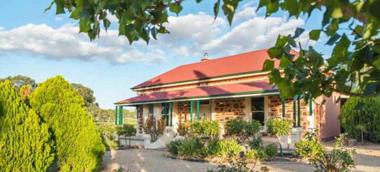 巴罗莎设拉子酒店(Barossa Shiraz Estate)图片