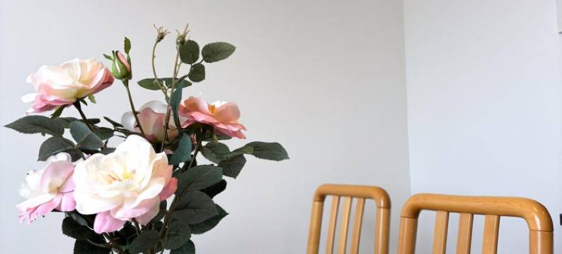 Säffle 套房 - 由Svaneholm酒店管理(Säffle Suites - By Svaneholm Hotel)图片