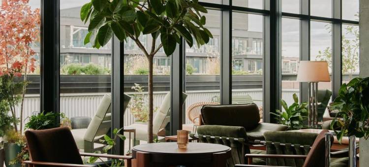 Ace 多伦多酒店(Ace Hotel Toronto)图片