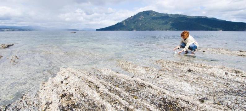 依海丽宅住宿加早餐旅馆(Belle Maison Auprès de La Mer)图片