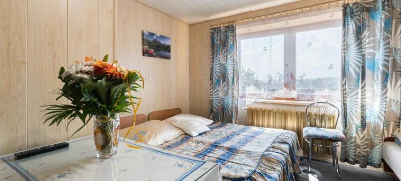 斯米尔雷克酒店(Smyrecek-Centrum Bukowiny)图片