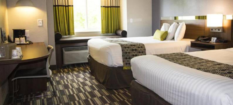 Microtel Inn & Suites by Wyndham Victor/Rochester图片