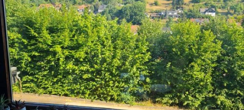 豪斯阿姆沃尔德酒店(Haus am Wald)图片