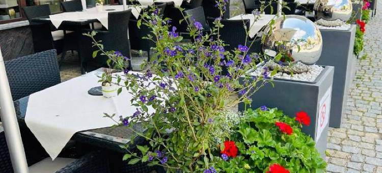 卡斯图夫博斯特酒店(Hotel Gasthof Zur Post)图片