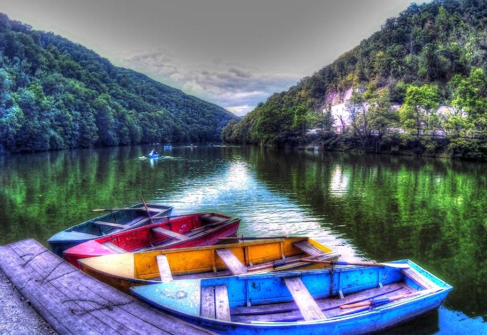 Gesztenyés Apartman Hotel Overview