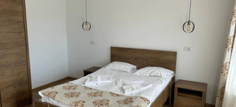 Pensiunea la Conac图片