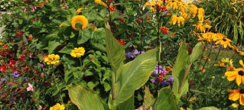 海湾微风度假村(Bay Breeze Resort)图片