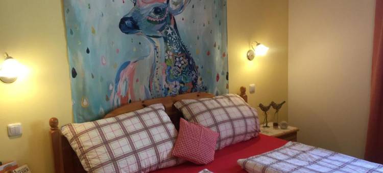 塞梅尔公寓(Apartmenthaus Simmer)图片