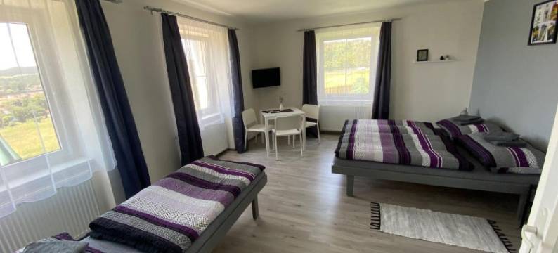 卡梅克旅馆(Penzion Kamejk)图片