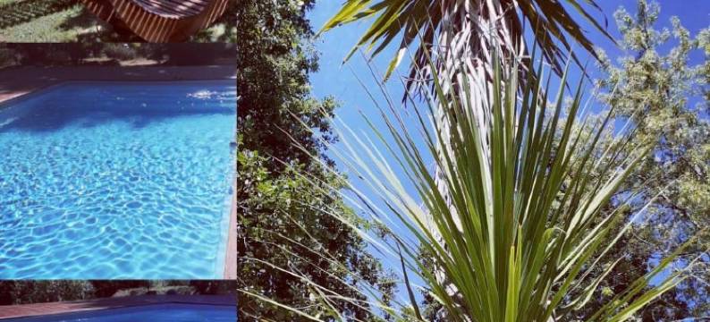 杜尔别墅酒店(Douvilla)图片