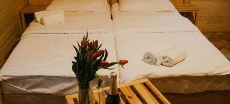 迪瓦尔酒店(Daglezjowy Dwór)图片